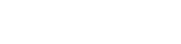 Endor Logo